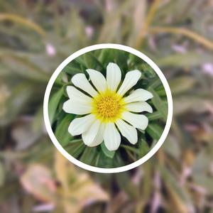 《高潮3》hd未删减在线吗免费观看
