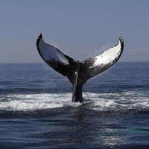 《高潮3》hd未删减在线吗免费观看
